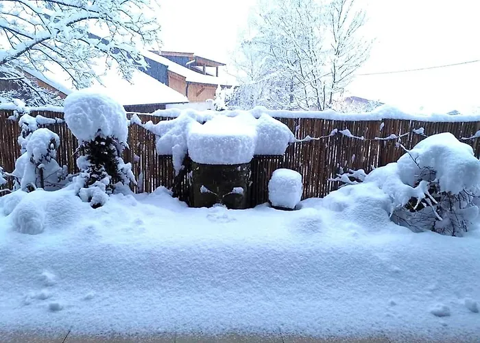 Wohlfarter * Jerzens